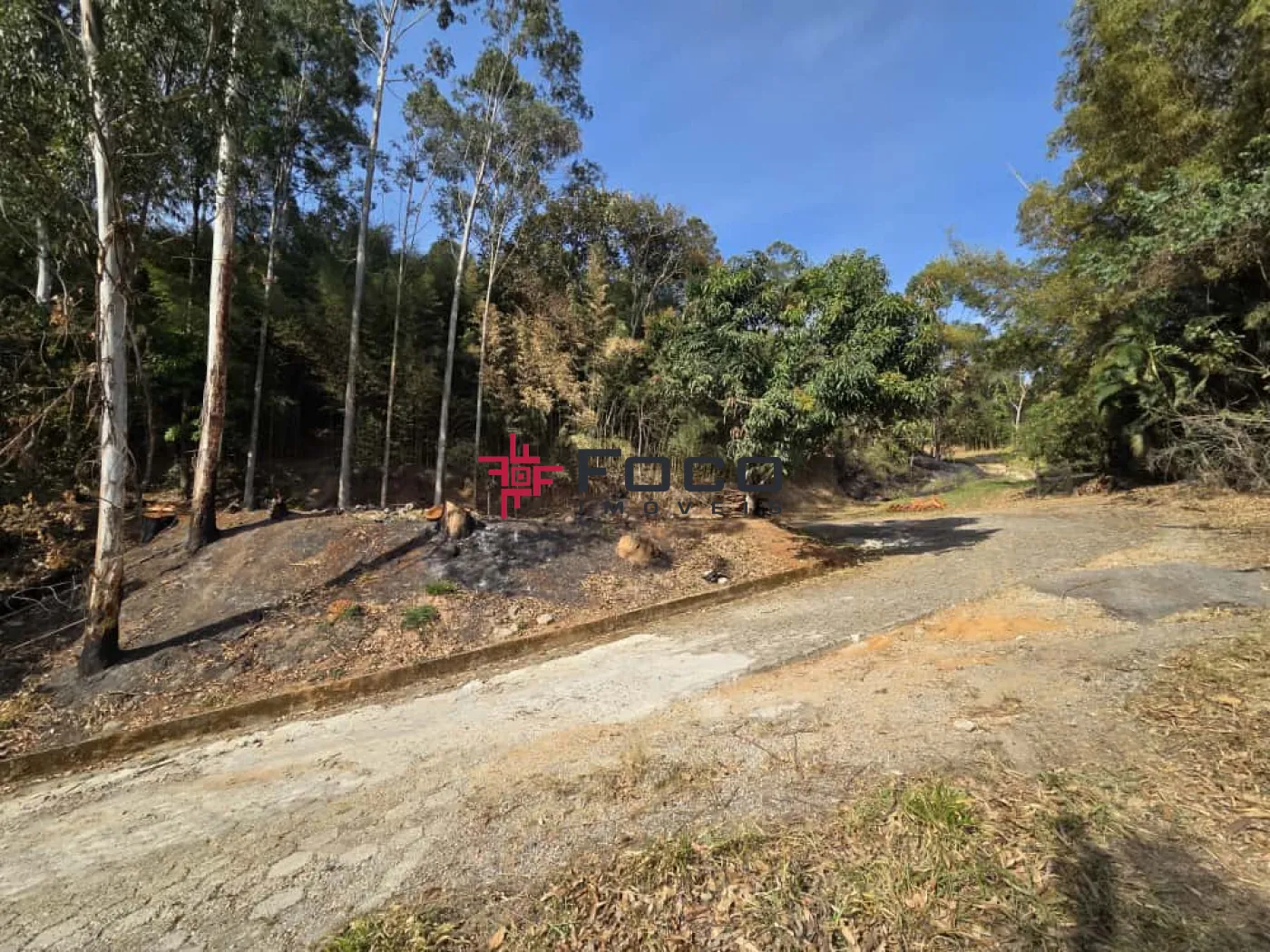 Comprar Rural / Chácara em São José dos Campos R$ 4.999.000,00 - Foto 7