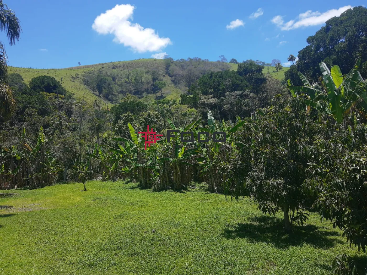 Comprar Rural / Sítio em Jambeiro R$ 2.000.000,00 - Foto 3