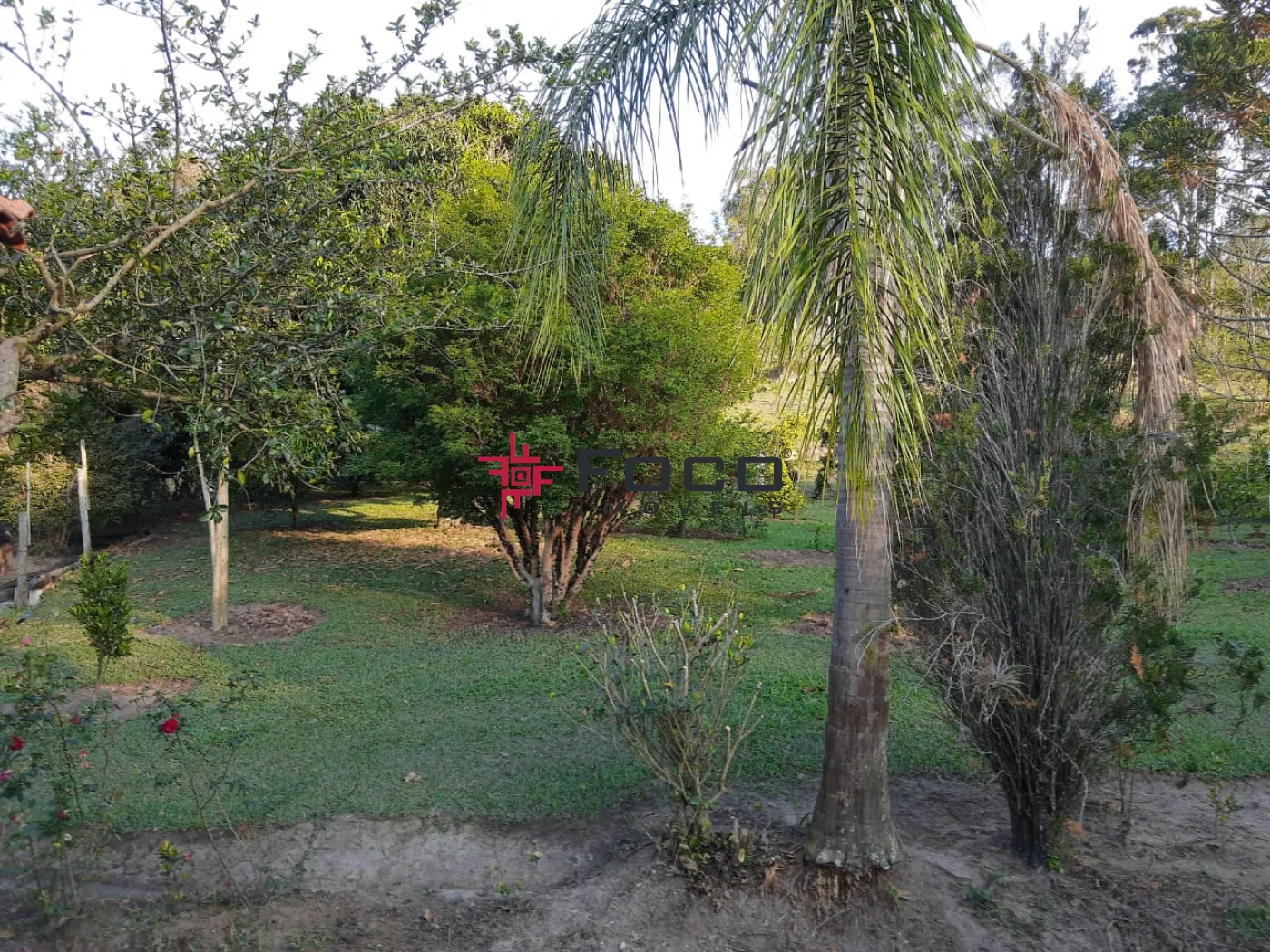 Comprar Rural / Sítio em Jambeiro R$ 2.000.000,00 - Foto 4