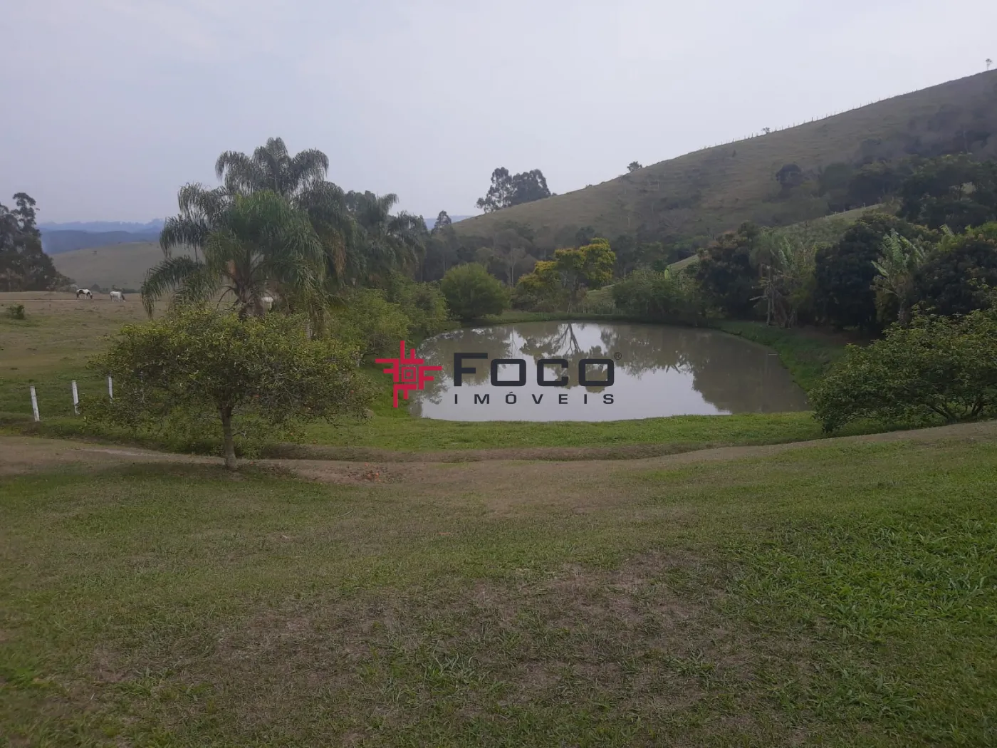 Comprar Rural / Sítio em Jambeiro R$ 2.000.000,00 - Foto 8