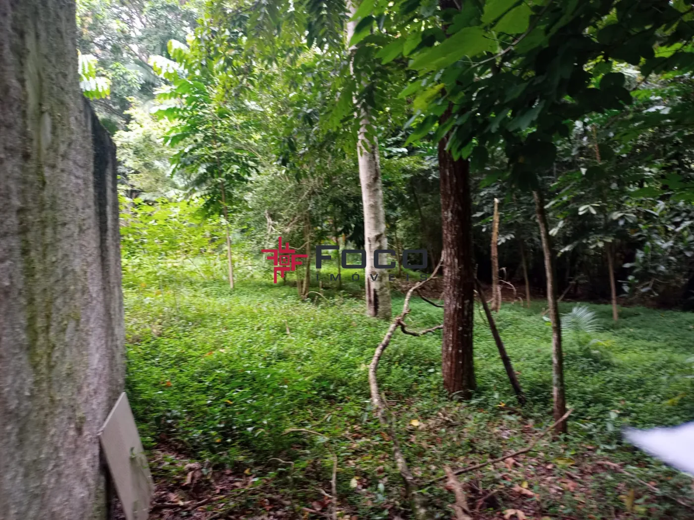 Comprar Terreno / Área em São José dos Campos R$ 1.150.000,00 - Foto 3