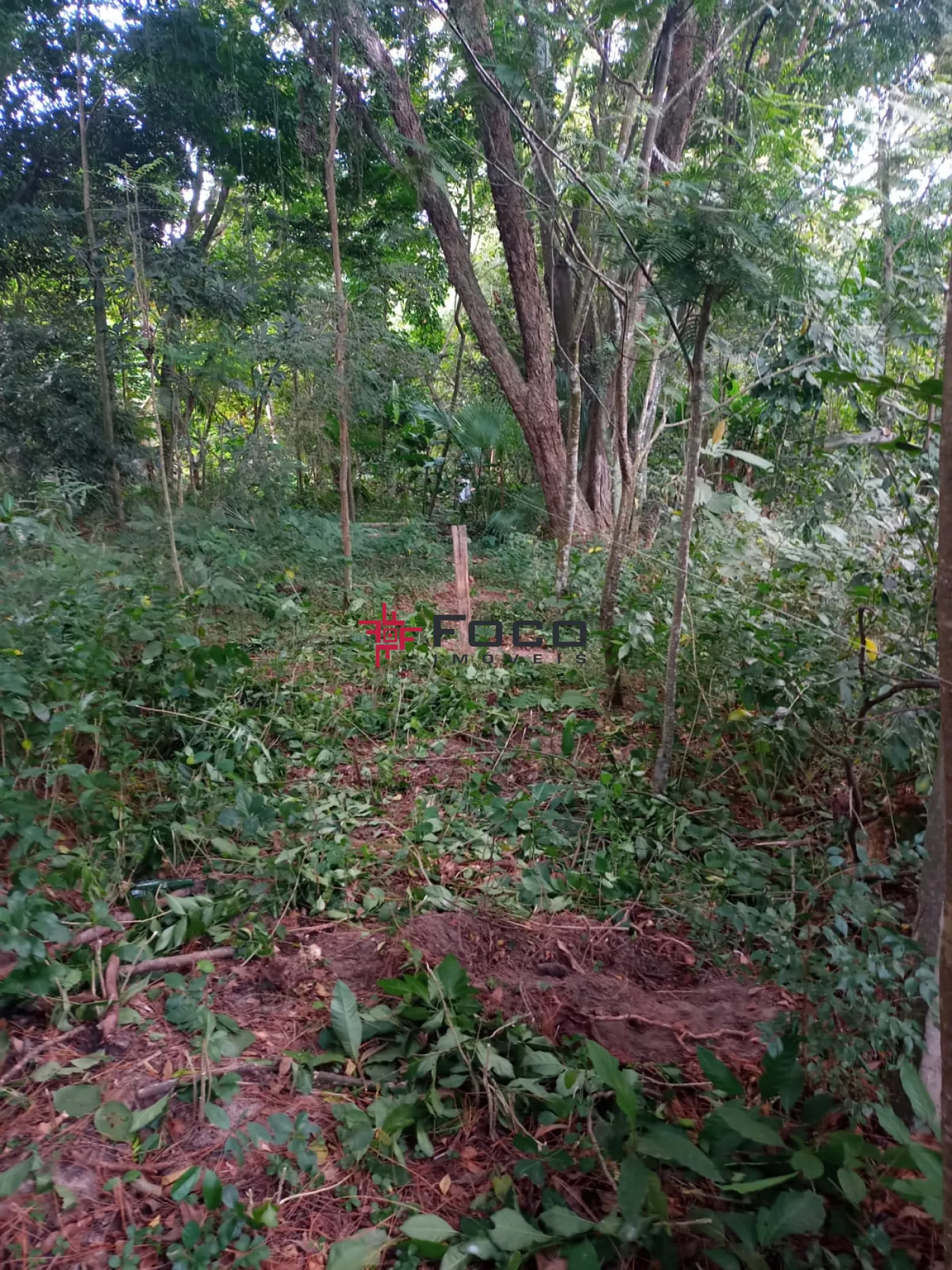 Comprar Terreno / Área em São José dos Campos R$ 1.150.000,00 - Foto 5