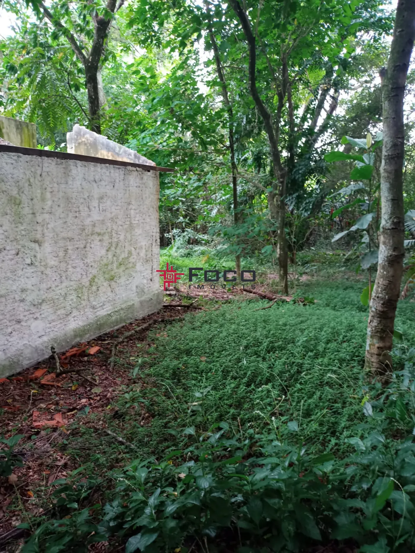 Comprar Terreno / Área em São José dos Campos R$ 1.150.000,00 - Foto 6