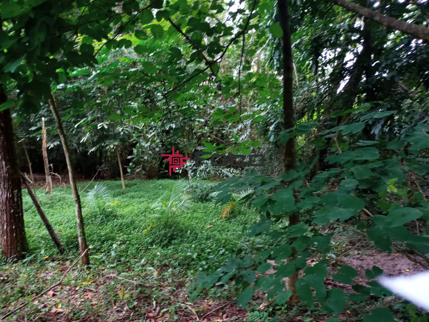 Comprar Terreno / Área em São José dos Campos R$ 1.150.000,00 - Foto 11