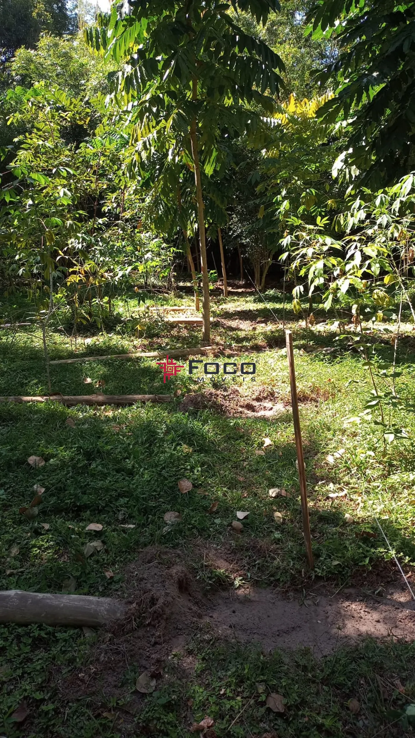 Comprar Terreno / Área em São José dos Campos R$ 1.150.000,00 - Foto 14