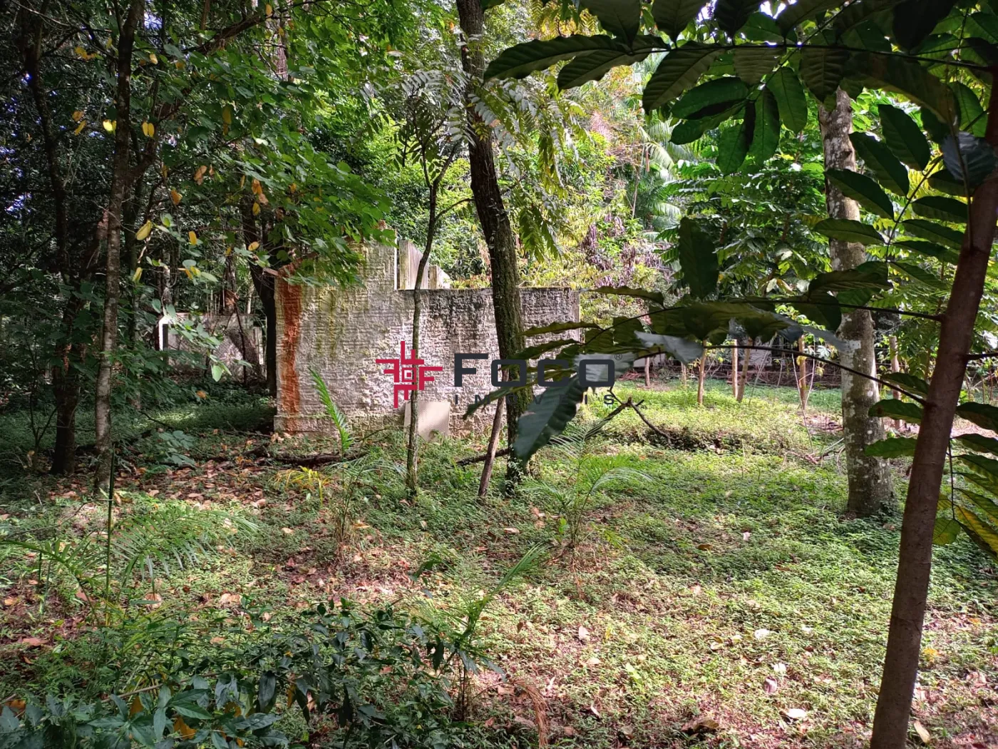 Comprar Terreno / Área em São José dos Campos R$ 1.150.000,00 - Foto 15