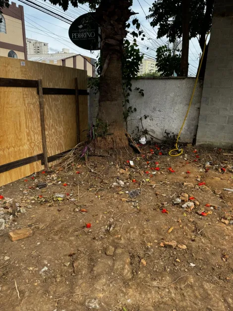 imagem 2 - Terreno no bairro Jardim Maringá com 300m² para fins residenciais ou comerciais imagem 2 - Terreno no bairro Jardim Maringá com 300m² para fins residenciais ou comerciais