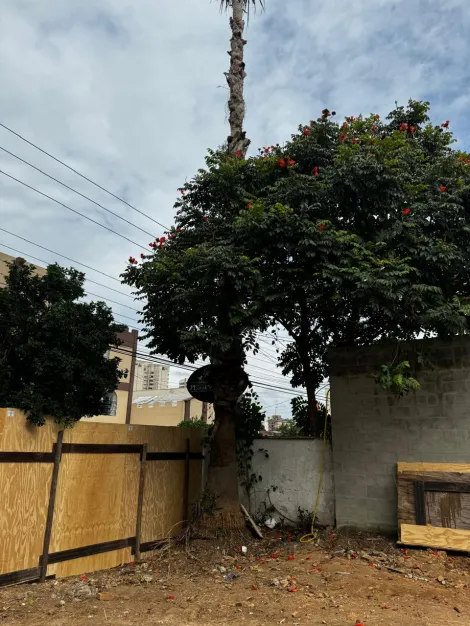imagem 4 - Terreno no bairro Jardim Maringá com 300m² para fins residenciais ou comerciais imagem 4 - Terreno no bairro Jardim Maringá com 300m² para fins residenciais ou comerciais