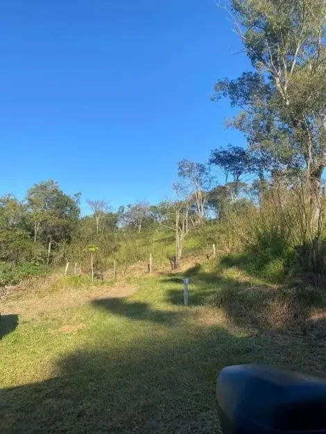 imagem 3 - Terreno no Santa Hermínia para venda imagem 3 - Terreno no Santa Hermínia para venda