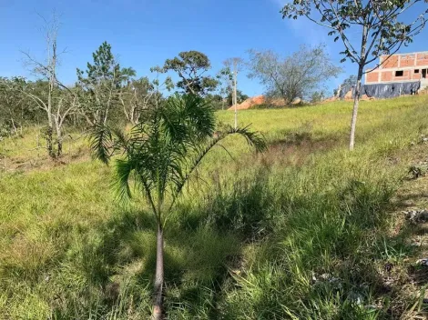 imagem 1 - Terreno em Condomínio Fechado Residencial Parque Lago Dourado - Jacareí imagem 1 - Terreno em Condomínio Fechado Residencial Parque Lago Dourado - Jacareí