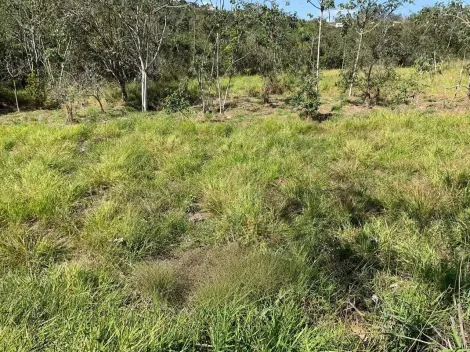 imagem 3 - Terreno em Condomínio Fechado Residencial Parque Lago Dourado - Jacareí imagem 3 - Terreno em Condomínio Fechado Residencial Parque Lago Dourado - Jacareí