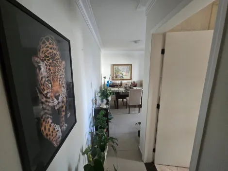 imagem 5 - Apartamento - Ed Colinas de São José - jardim das Colinas - 3 dormitórios - 77m² imagem 5 - Apartamento - Ed Colinas de São José - jardim das Colinas - 3 dormitórios - 77m²