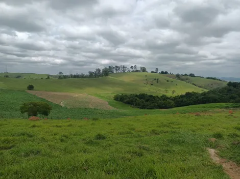 imagem 3 - Área 254.000 m² - Jardim Maria Amélia - Jacareí imagem 3 - Área 254.000 m² - Jardim Maria Amélia - Jacareí