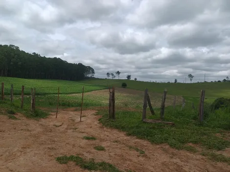 imagem 4 - Área 254.000 m² - Jardim Maria Amélia - Jacareí imagem 4 - Área 254.000 m² - Jardim Maria Amélia - Jacareí