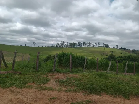 imagem 5 - Área 254.000 m² - Jardim Maria Amélia - Jacareí imagem 5 - Área 254.000 m² - Jardim Maria Amélia - Jacareí