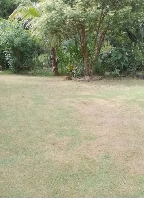 imagem 2 - Chácara com 03 dormitórios - Chácara Recanto Itamarati II - 5.000m² - Caçapava/SP imagem 2 - Chácara com 03 dormitórios - Chácara Recanto Itamarati II - 5.000m² - Caçapava/SP