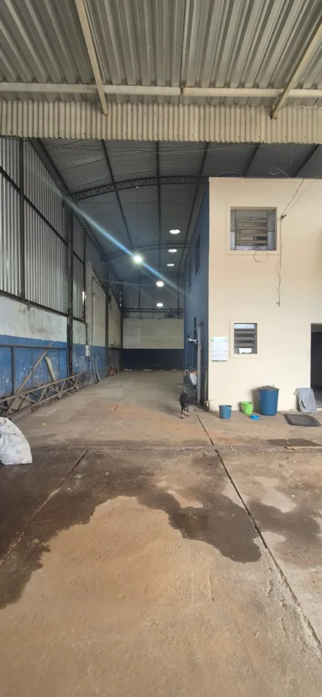imagem 1 - Galpão para locação na Vila São Pedro / 250m² / São José dos Campos imagem 1 - Galpão para locação na Vila São Pedro / 250m² / São José dos Campos