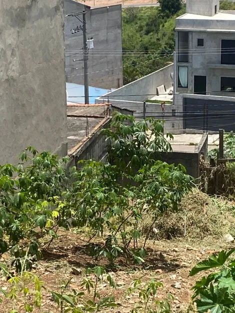 imagem 2 - Terreno / Padrão - No bairro Jardim Cruzeiro do Sul - São José dos Campos imagem 2 - Terreno / Padrão - No bairro Jardim Cruzeiro do Sul - São José dos Campos