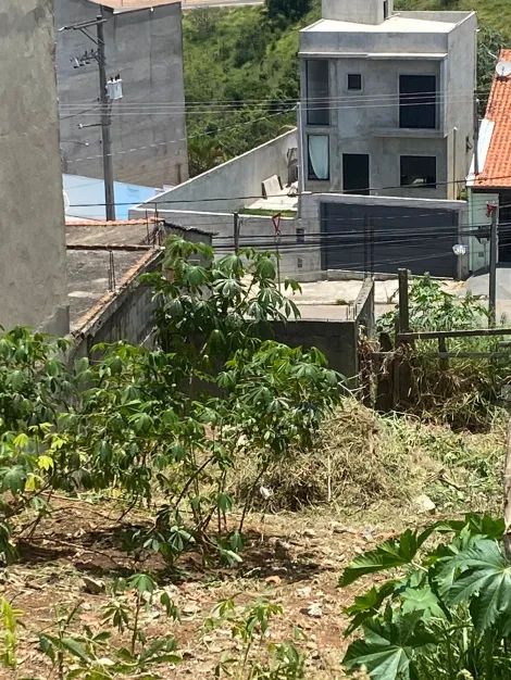 imagem 5 - Terreno / Padrão - No bairro Jardim Cruzeiro do Sul - São José dos Campos imagem 5 - Terreno / Padrão - No bairro Jardim Cruzeiro do Sul - São José dos Campos