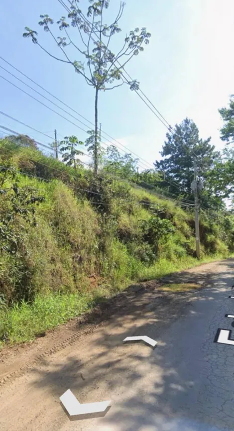 imagem 4 - Terreno / Rural - Costinha - São Jose dos Campos imagem 4 - Terreno / Rural - Costinha - São Jose dos Campos