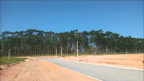 imagem 1 - Terreno / Padrão - Residencial - No Bairro Vila Amélia - São José dos Campos imagem 1 - Terreno / Padrão - Residencial - No Bairro Vila Amélia - São José dos Campos
