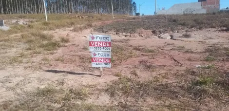imagem 4 - Terreno padrão - Vila Amélia - bairro planejado - 200 m² imagem 4 - Terreno padrão - Vila Amélia - bairro planejado - 200 m²
