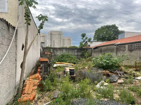imagem 4 - Terreno a Venda no Jardim Ismênia / 250m² / Plano / Único da Rua / São José dos Campos imagem 4 - Terreno a Venda no Jardim Ismênia / 250m² / Plano / Único da Rua / São José dos Campos