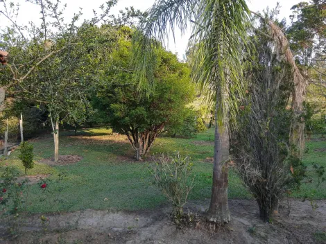 imagem 1 - Rural/Sítio - Residencial - No bairro Santa Clara - Jambeiro - SP imagem 1 - Rural/Sítio - Residencial - No bairro Santa Clara - Jambeiro - SP