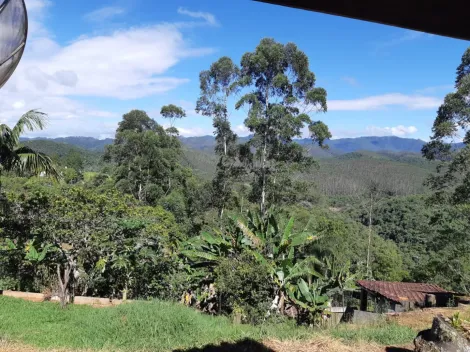 imagem 5 - Rural - Sítio imagem 5 - Rural - Sítio