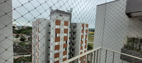 imagem 4 - Apartamento de 2 dormitórios na Vila Cardoso imagem 4 - Apartamento de 2 dormitórios na Vila Cardoso