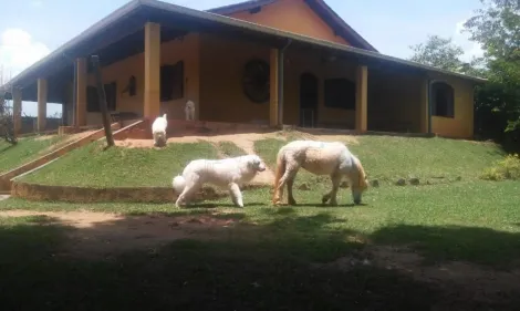 imagem 1 - Chácara 3 quartos 1 suíte à venda no Zona Rural imagem 1 - Chácara 3 quartos 1 suíte à venda no Zona Rural
