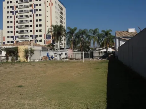 imagem 4 - Terreno à venda no Vila Pantaleão imagem 4 - Terreno à venda no Vila Pantaleão