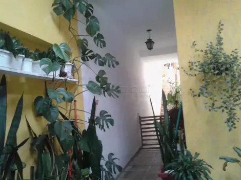 imagem 5 - Sobrado com 4 Quartos, 3 Banheiros e Edícula - Bosque dos Eucaliptos imagem 5 - Sobrado com 4 Quartos, 3 Banheiros e Edícula - Bosque dos Eucaliptos