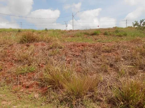 imagem 4 - Terreno à venda no Putim | Foco Imóveis | imagem 4 - Terreno à venda no Putim | Foco Imóveis |
