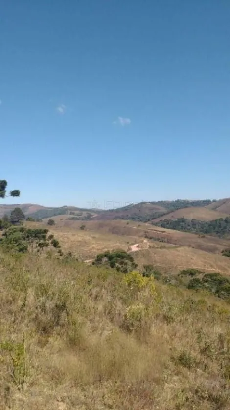 imagem 3 - Terreno à venda no Itapeva | Foco Imóveis | imagem 3 - Terreno à venda no Itapeva | Foco Imóveis |