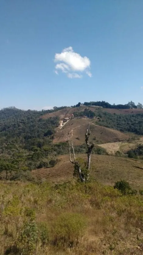 imagem 4 - Terreno à venda no Itapeva | Foco Imóveis | imagem 4 - Terreno à venda no Itapeva | Foco Imóveis |