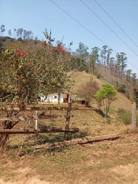 imagem 5 - Fazenda de Eucalipto  e de Gado / 337 hectares / 02 casas (principal e empregados )  Escriturada / Areias - SP imagem 5 - Fazenda de Eucalipto  e de Gado / 337 hectares / 02 casas (principal e empregados )  Escriturada / Areias - SP