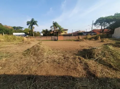imagem 3 - Terreno à venda no Vila Paulo Romeu imagem 3 - Terreno à venda no Vila Paulo Romeu