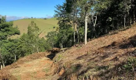 imagem 2 - Terreno com vista Panorâmica / 20.000m² / Documentação completa com Escritura Definitiva / Projeto pronto para construção/ Estrada de acesso excelente / Monteiro Lobato imagem 2 - Terreno com vista Panorâmica / 20.000m² / Documentação completa com Escritura Definitiva / Projeto pronto para construção/ Estrada de acesso excelente / Monteiro Lobato