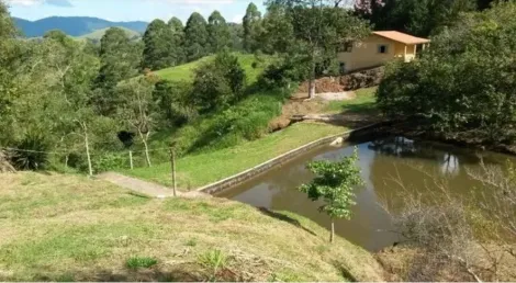 imagem 3 - Excelente fazenda de PORTEIRA FECHADA / 02 casas MOBILIADAS / Monteiro Lobato / COM ESCRITURA / 680.000 m² ( 28 hectares) / Unidade de produção de leite / Monteiro Lobato. imagem 3 - Excelente fazenda de PORTEIRA FECHADA / 02 casas MOBILIADAS / Monteiro Lobato / COM ESCRITURA / 680.000 m² ( 28 hectares) / Unidade de produção de leite / Monteiro Lobato.