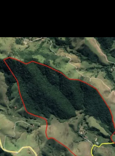 imagem 2 - Fazenda Histórica de 1832 / Mobiliada, porteira fechada / Escriturada / Piscinas / Lagos / Nascentes / A 03 KM do centro de Piquete. imagem 2 - Fazenda Histórica de 1832 / Mobiliada, porteira fechada / Escriturada / Piscinas / Lagos / Nascentes / A 03 KM do centro de Piquete.